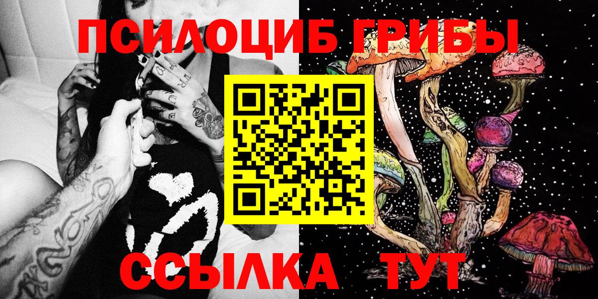 Галлюциногенные грибы Psilocybine cubensis Искитим